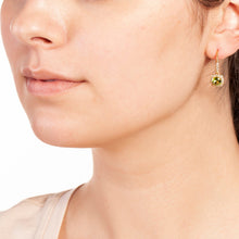 Load image into Gallery viewer, Elegant Confetti Juliet Women Earrings - ECJ3602EO